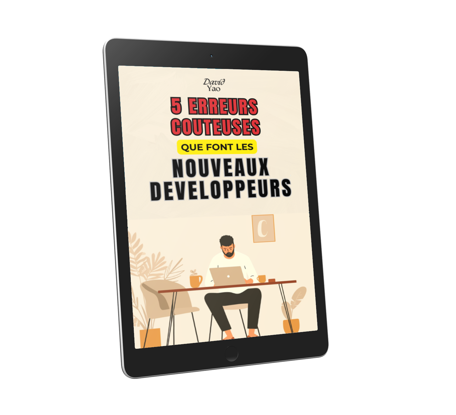 French Ebook Cover